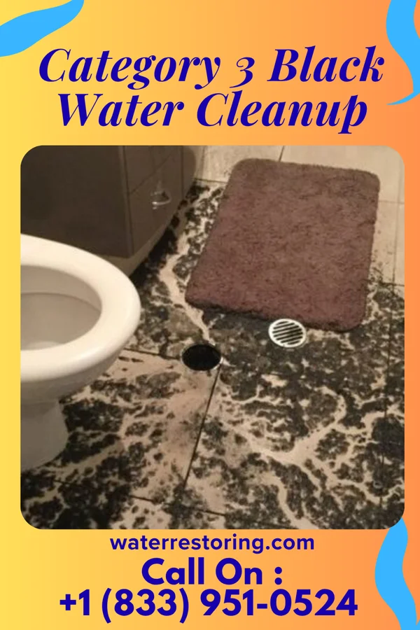 Category 3 Black Water Cleanup in Batavia, MT