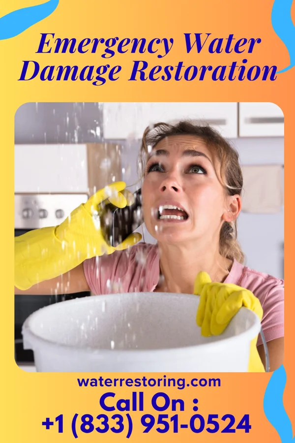 Emergency Water Damage Restoration in Batavia, MT